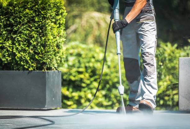 Animal Enclosure Cleaning in Lincoln, IL