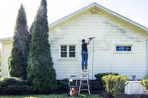 Best Fence Cleaning  in Lincoln, IL